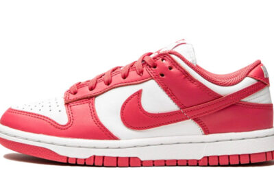 Nike SB Dunk Low Archeo Pink