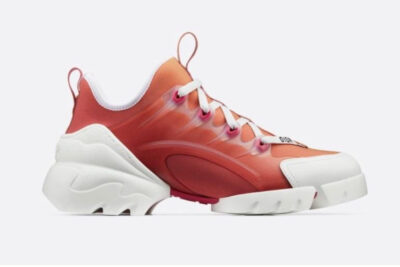 DIOR D-CONNECT DIORAURA