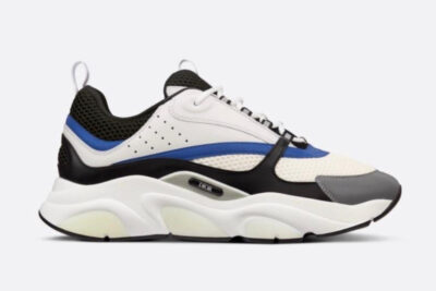 DIOR B22 WHITE BLUE