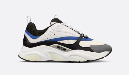 DIOR B22 WHITE BLUE