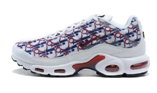 NIKE AIR MAX PLUS TN DIOR BLUE