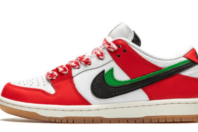 NIKE SB DUNK LOW FRAME SKATE HABIBI