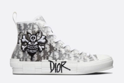 HIGH OBLIQUE B23 WASP