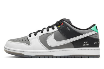 NIKE SB DUNK LOW VX1000 CAMCORDER