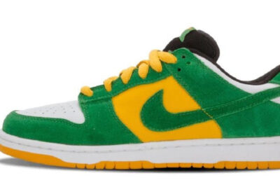 NIKE SB DUNK LOW PRO BUCK