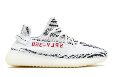 V2 Zebra