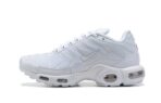 Nike Air Max Plus TN White 22