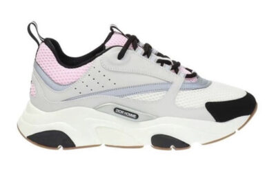 Dior B22 Pink Grey
