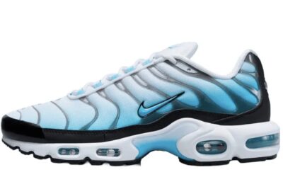 Nike Air Max Plus TN GS Ice