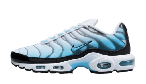 Nike Air Max Plus TN GS Ice