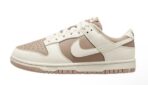 Nike SB Dunk Low Next Nature Sail Brown