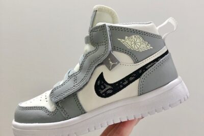 Nike Air Jordan 1 dior