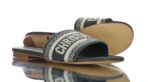 Dior Mule Dway Ash