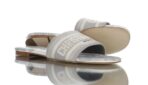 Dior Mule Dway Grey