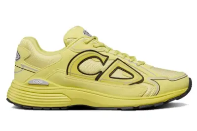 Dior B30 Brown Yellow