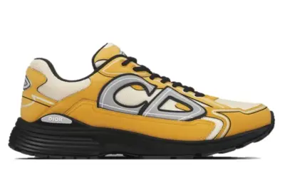 Dior B30 Brown Yellow Grey