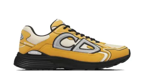 Dior B30 Brown Yellow Grey