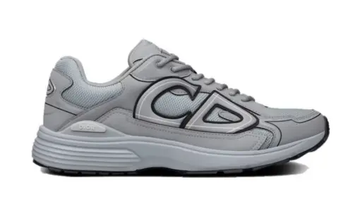 Dior B30 Grey