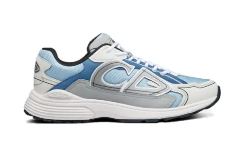 Dior B30 White Blue