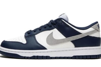 Nike Dunk Low Summit White Midnight Navy
