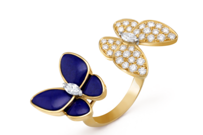 Two Butterfly Between the Finger ring