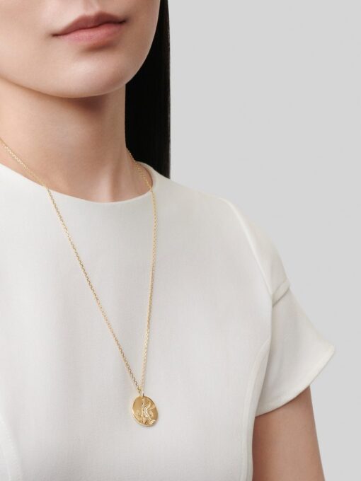 Zodiac Aquarii Necklace - Image 3
