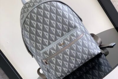 Dior Backpack