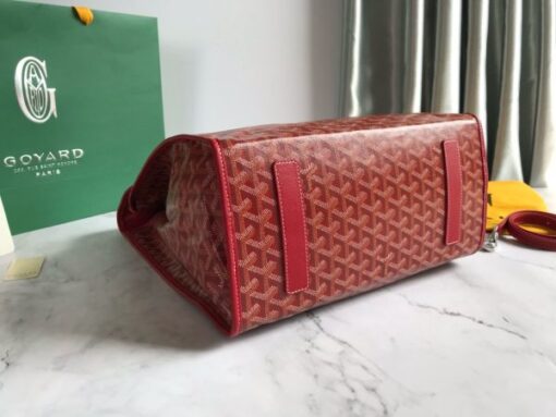 Goyard Backpack - Image 3