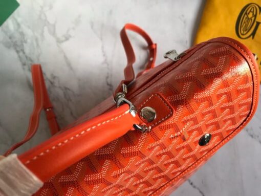 Goyard Backpack - Image 2