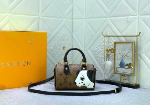 LV Bag