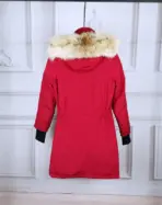 Canada Goose Down Jacket - Image 2