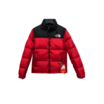 North Face Down Jacket