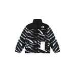 North Face Down Jacket