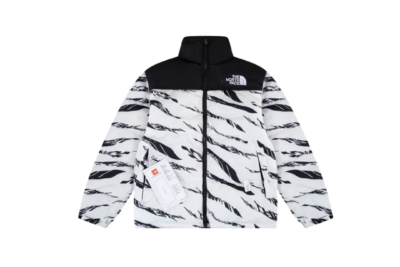 North Face Down Jacket