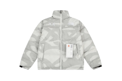 North Face Down Jacket