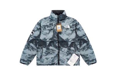 North Face Down Jacket