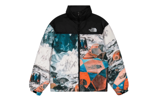 North Face Down Jacket