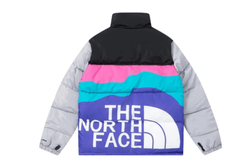 North Face Down Jacket