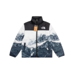 North Face Down Jacket