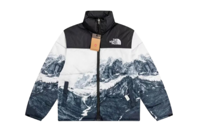 North Face Down Jacket