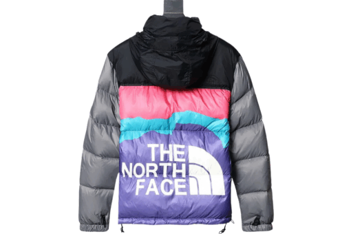 North Face Down Jacket
