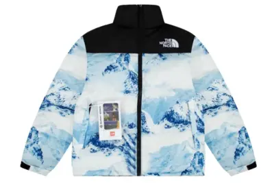 North Face Down Jacket