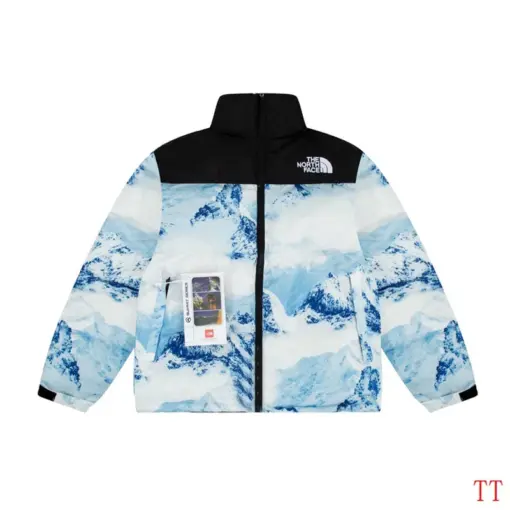 North Face Down Jacket