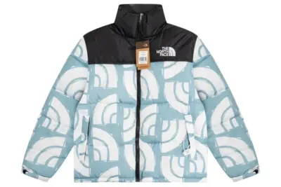 North Face Down Jacket