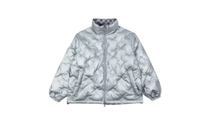 LV Down Jacket