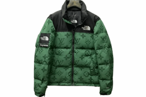 LV Down Jacket