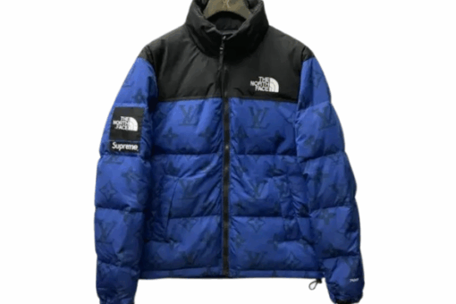 LV Down Jacket