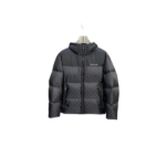 LV Down Jacket