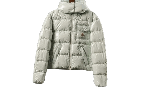 Moncler Down Jacket