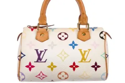 LV Bag